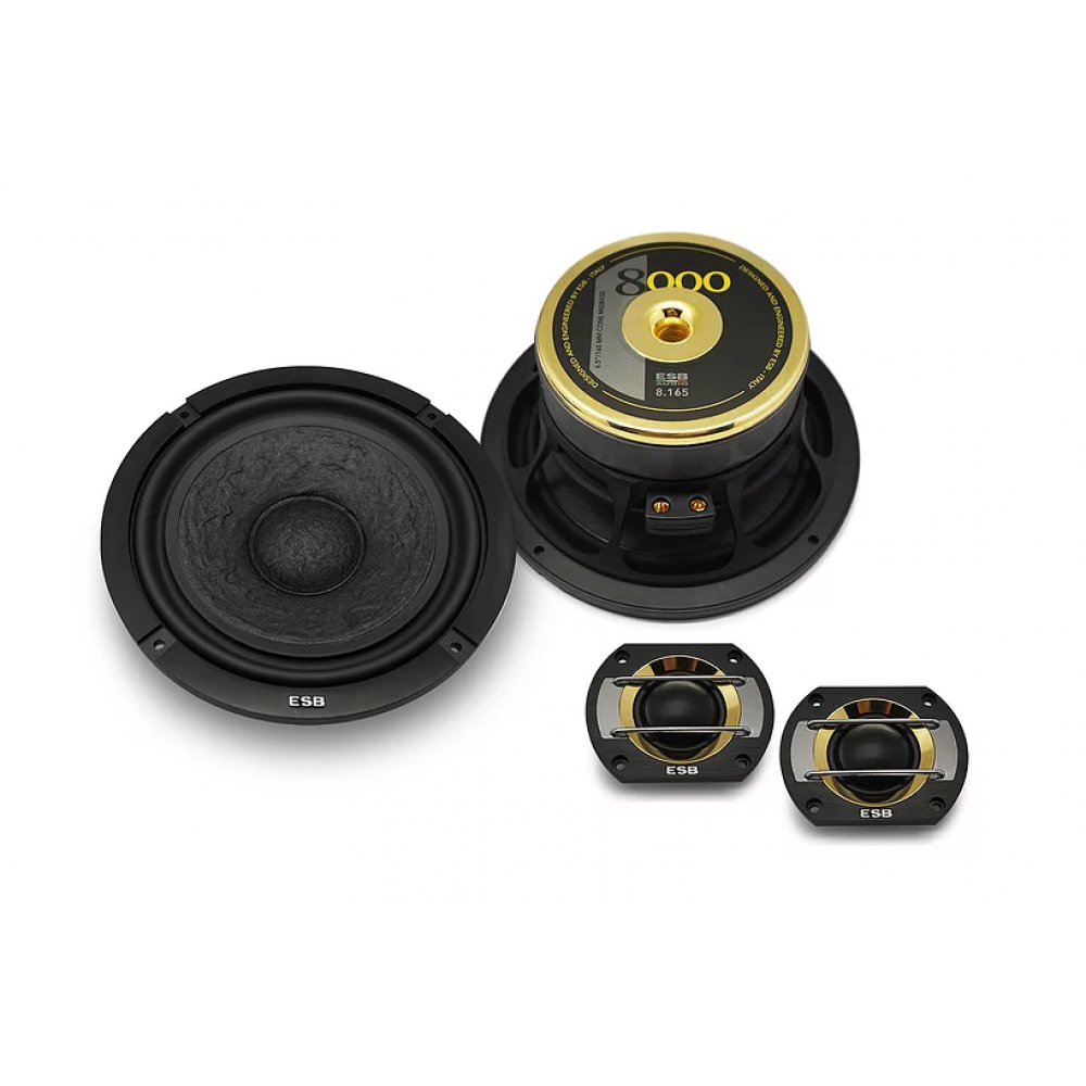 ESB AUDIO 2-WAY SPEAKER SYSTEM
